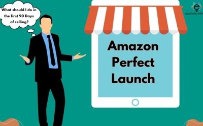 How to sell on Amazon with Perfect Launch: Your First 90 Days!